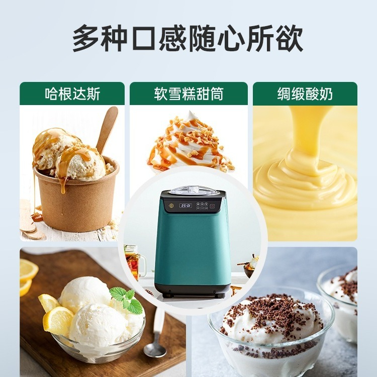 Rumah dan bisnis mesin es krim - Home Cooking Business ulasan dan harga